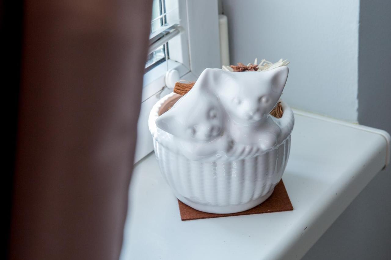 Apartment Studio Milena ซูโบติกา ภายนอก รูปภาพ