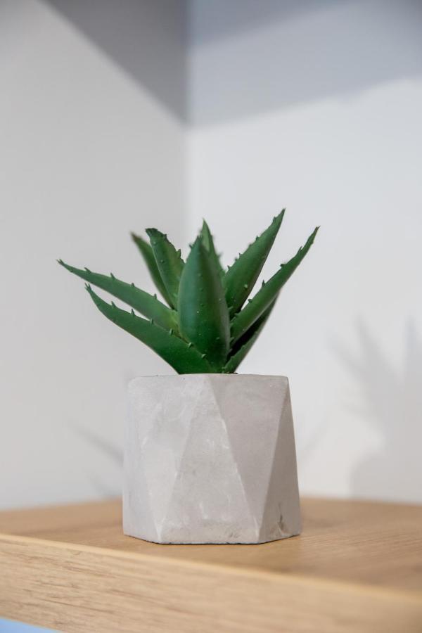 Apartment Studio Milena ซูโบติกา ภายนอก รูปภาพ