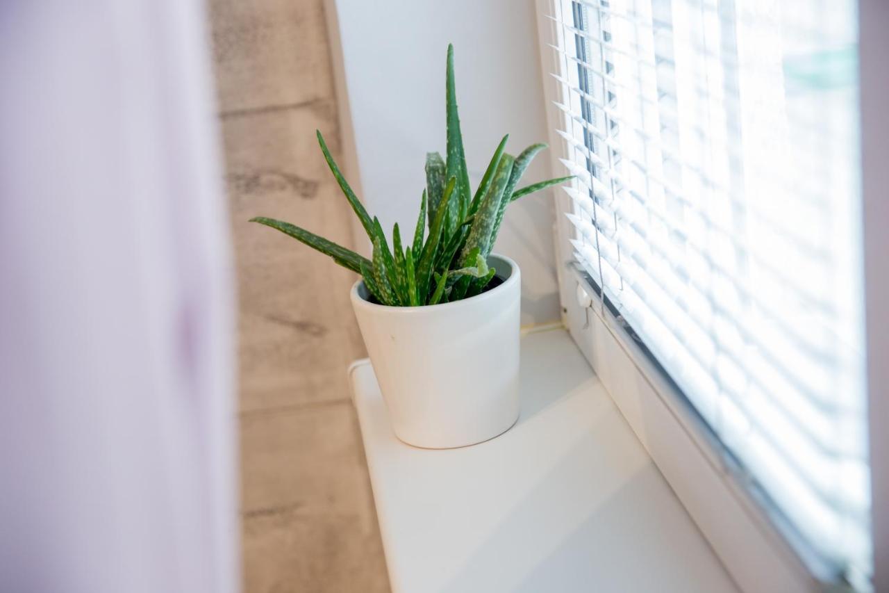 Apartment Studio Milena ซูโบติกา ภายนอก รูปภาพ